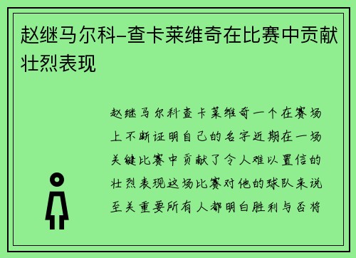赵继马尔科-查卡莱维奇在比赛中贡献壮烈表现