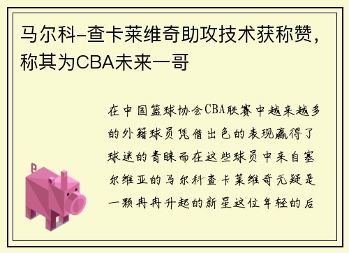 马尔科-查卡莱维奇助攻技术获称赞，称其为CBA未来一哥