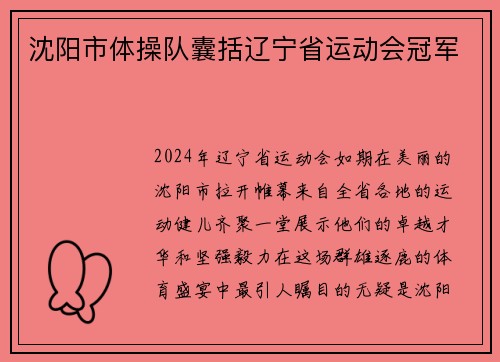 沈阳市体操队囊括辽宁省运动会冠军